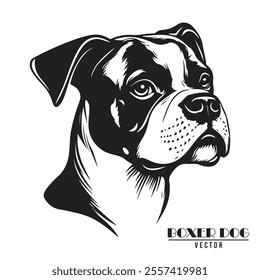 Boxer Dog Vector illustration, Boxer Dog Vector on White Background