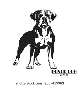 Boxer Dog Vector illustration, Boxer Dog Vector on White Background