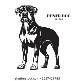 Boxer Dog Vector illustration, Boxer Dog Vector on White Background