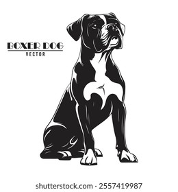 Boxer Dog Vector illustration, Boxer Dog Vector on White Background