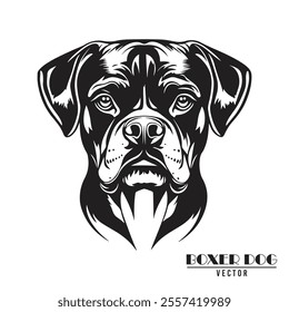 Boxer Dog Vector illustration, Boxer Dog Vector on White Background