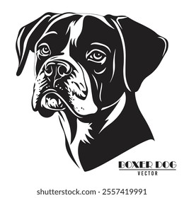 Boxer Dog Vector illustration, Boxer Dog Vector on White Background