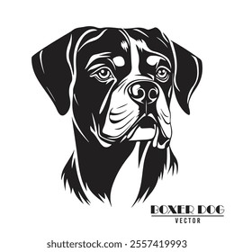 Boxer Dog Vector illustration, Boxer Dog Vector on White Background