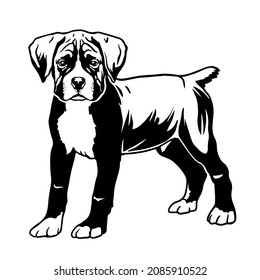Boxer dog vector illustration. Standing boxer puppy svg . File for printing and cutting. Black and white clipart svg
