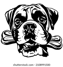 Boxer dogs. Boxer dog breed. black and white clipart dog head isolated on white background. Dog holding a bone in his teeth. Cute dog svg