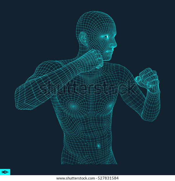 Boxer Fighting Man 3d Model Man Stock Vector (Royalty Free) 527831584