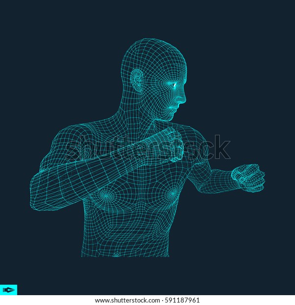 Boxer Fighting Man 3d Model Man Stock Vector (Royalty Free) 591187961 ...