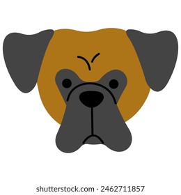 Boxer head cute on a white background, vector illustration.