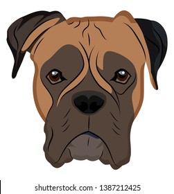 Boxer illustration vector on white background