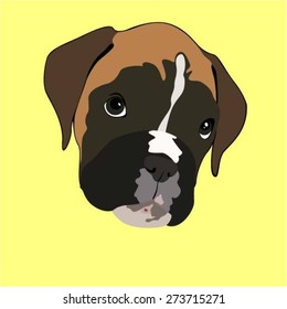 Boxer - Illustrations of Dog Face.