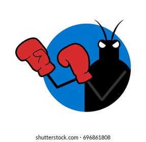 Boxer insect illustration