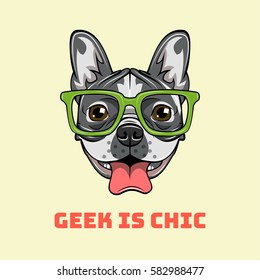 Boxer Nerd Hund. Geek ist schick. Vektorgrafik einzeln auf weißem Hintergrund