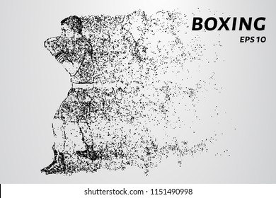 Boxer of the particles. Boxer in training