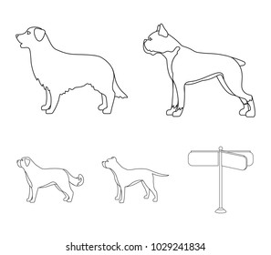 Boxer, pit bull, St. Bernard, retriever.Dog breeds set collection icons in outline style vector symbol stock illustration web.