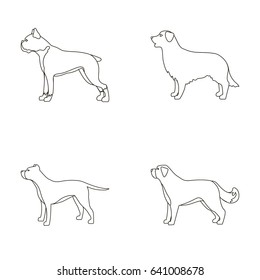 Boxer, pit bull, St. Bernard, retriever.Dog breeds set collection icons in outline style vector symbol stock illustration web.