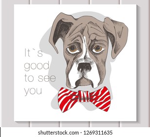 boxer puppy with a red bow drawn by hand with a brown marker with a white stripe