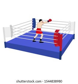 Boxer in the ring on a white background
