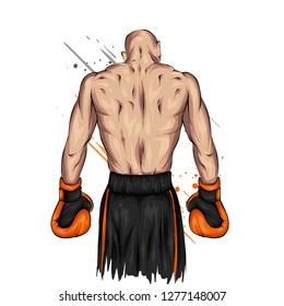 Boxer in shorts and gloves. Male athlete. Vector illustration for greeting card or poster. Sport, fight, athlete ready for battle. Sportsman.