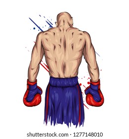 Boxer in shorts and gloves. Male athlete. Vector illustration for greeting card or poster. Sport, fight, athlete ready for battle. Sportsman.