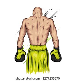 Boxer in shorts and gloves. Male athlete. Vector illustration for greeting card or poster. Sport, fight, athlete ready for battle. Sportsman.