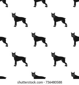 Boxer, single icon in black style.Boxer, vector symbol stock illustration web.