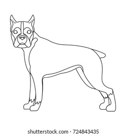 Boxer, single icon in outline style.Boxer, vector symbol stock illustration web.
