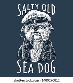 Boxer smoking a pipe and dressed in captain hat, sweater, pea jacket. Vector white engraving vintage illustrations isolated on dark. Sea Dog salty old lettering. For tattoo and t-shirt
