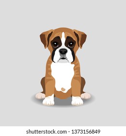 Boxer Terrier Puppy Vector Illustration. Dog isolated