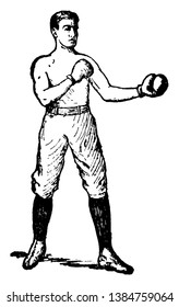 Boxer wearing a protective glove and is shown in an attacking mode, vintage line drawing or engraving illustration.