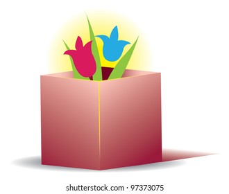 Boxes with tulips