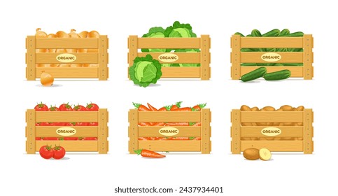 Cajas con verduras. Zanahorias, patatas, tomates, pepinos, cebollas, col. Ilustración de vector