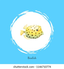 Boxfish animal poster set headline and circle. Fish of rounded shape with fins and dotted pattern on skin floating isolated on vector illustration