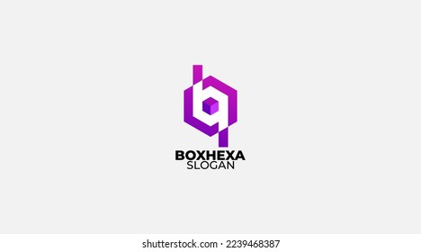 Boxhexa vector logo template design icon
