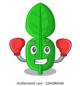 Boxing bergamot lime leaf isolated on mascot