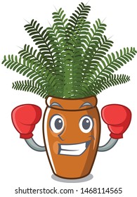 Boxing boston fern grows in mascot pot
