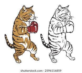 Boxing club artwork. Pet design. Cat boxing academy graphic print design.