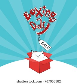 boxing day cute white cat in a red box sale