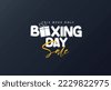 happy boxing day