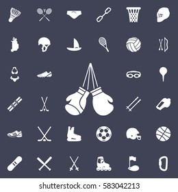 boxing design icon. Sport set of icons