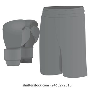 Boxing equipment set. vector illustration