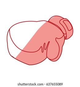 Boxing glove equipment