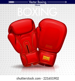 Boxing Gloves, Detailed Illustration