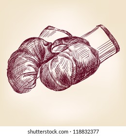 boxing gloves  hand drawn vintage  vector illustration