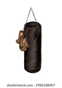 Boxing gloves and punching bag, colored drawing, realistic. Vector illustration of paints