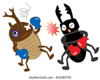 Boxing of the insect