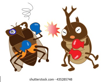 Boxing of the insect