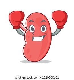 Boxing Kidney Character Cartoon Style