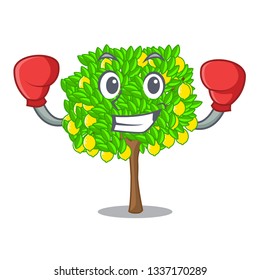 Boxing lemon tree in the cartoon shape