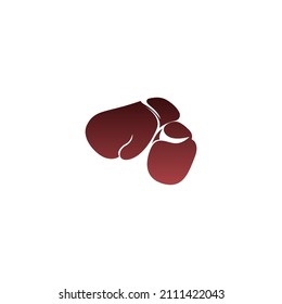 Boxing  logo icon design template illustration vector
