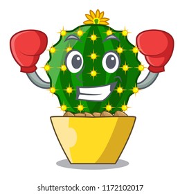 Boxing mammillaria cactus planted in a cartoon pot